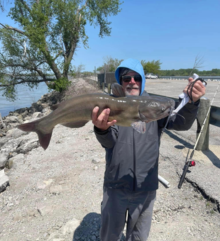 Cat Fishing In Port Clinton 